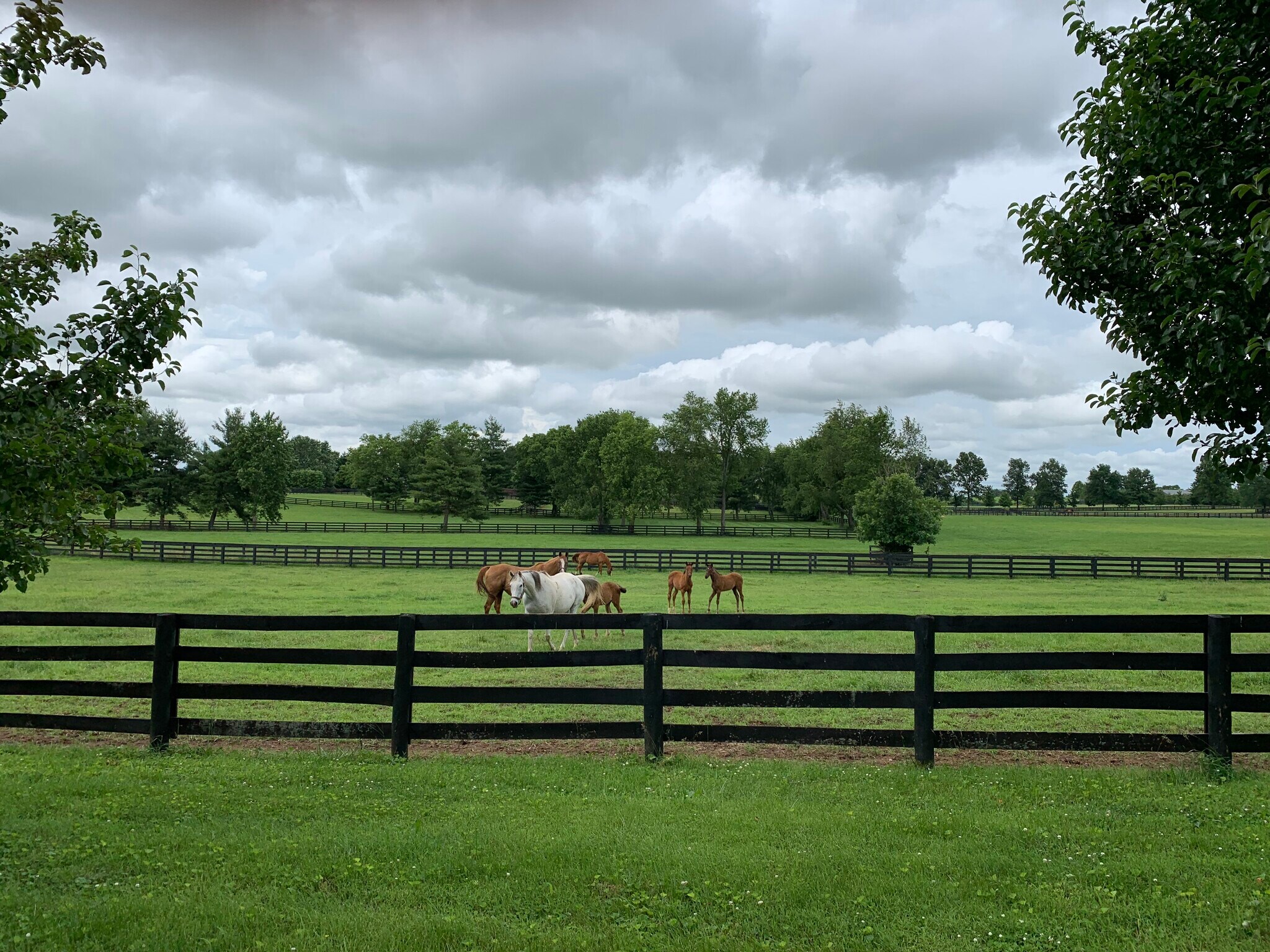 Building Photo - 2900 Newtown Pike