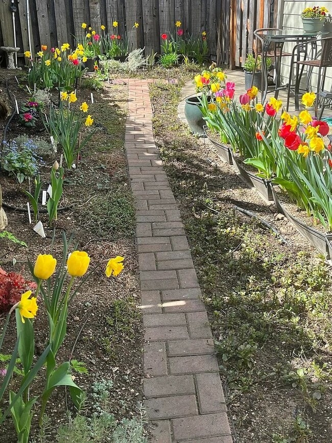 Building Photo - Unfurnished Two bedroom, Two bath Ground Floor Townhouse | Available June