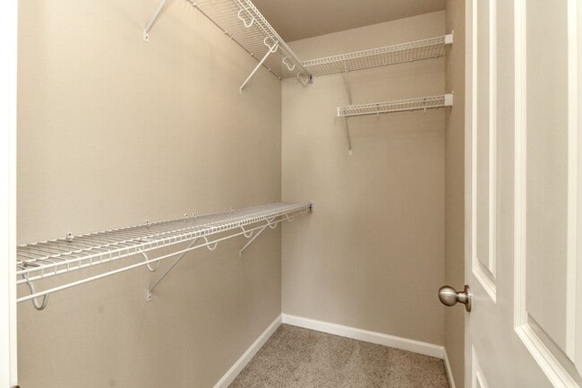 Building Photo - Beautiful Lacey Home with new paint and carpet in Popular Edgewater Community