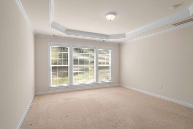 Building Photo - 217 Conservatory Drive