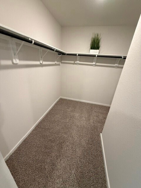 Building Photo - 11627 Ruffian Dr
