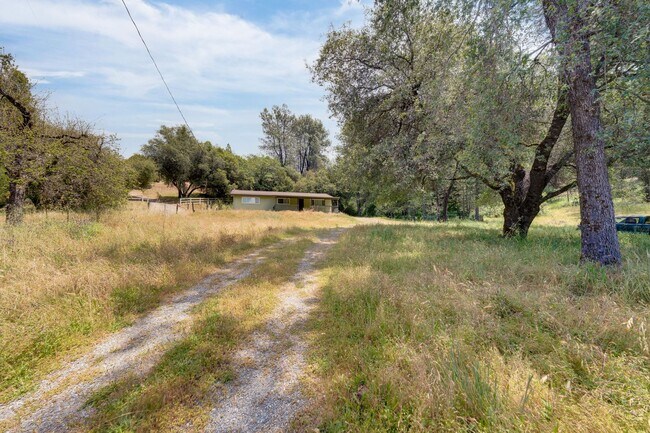 Building Photo - 1019 Mt Aukum Ct