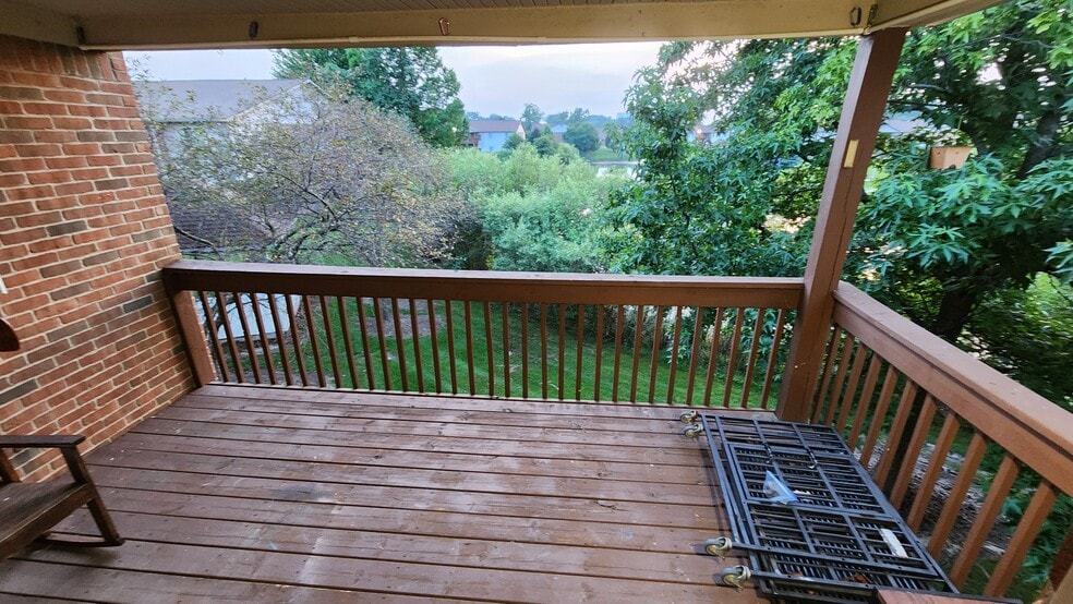 Deck - 9654 Sawgrass Ct