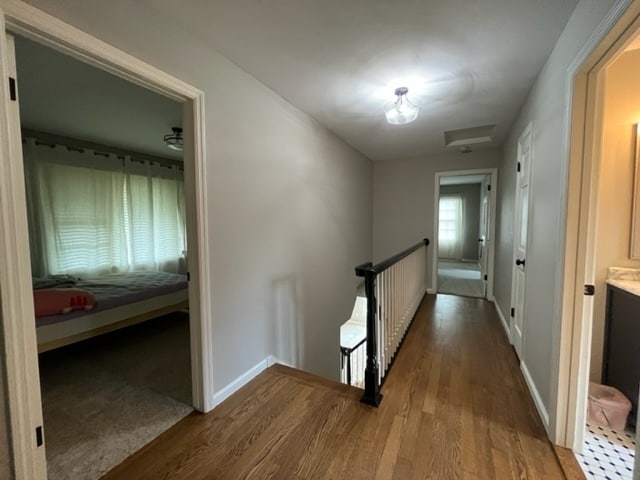 Building Photo - 15200 Briaridge Ct