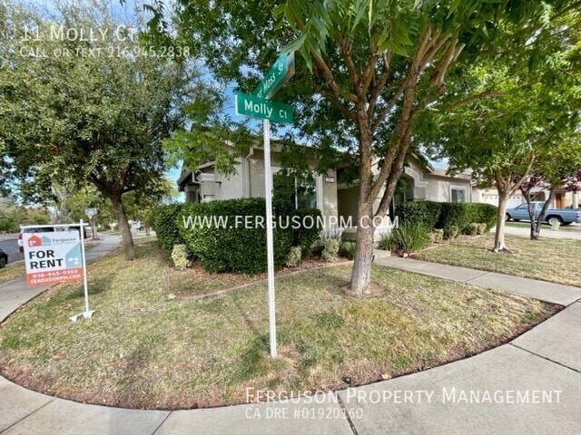 Building Photo - 11 Molly Ct