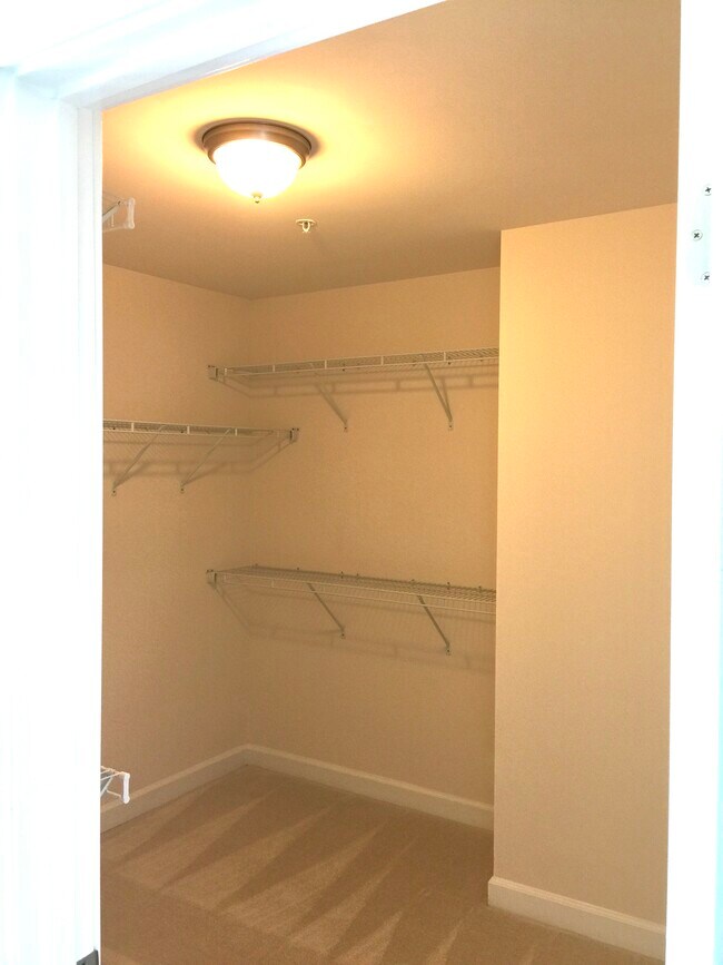 Walk-in Closet - 5473 Stream Bank Ln