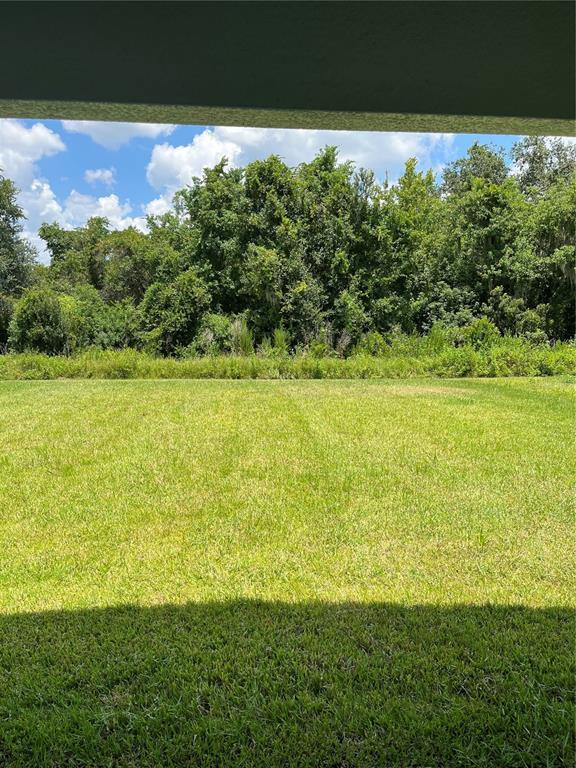 Building Photo - 1262 Pintail Pl