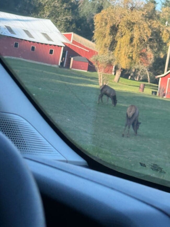 Building Photo - 15144 Sitkum Ln