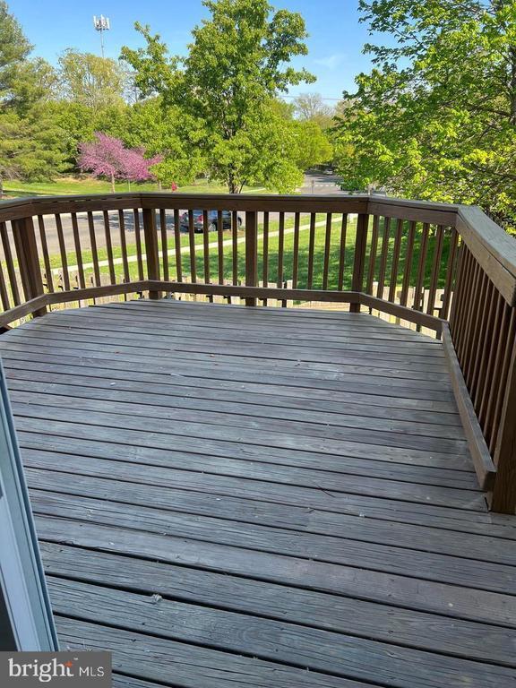Building Photo - 11702 Zebrawood Ct