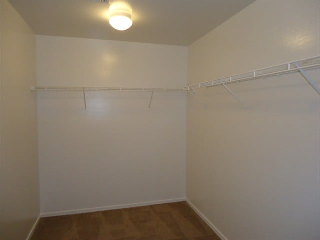 Building Photo - 11817 W Via Montoya Dr