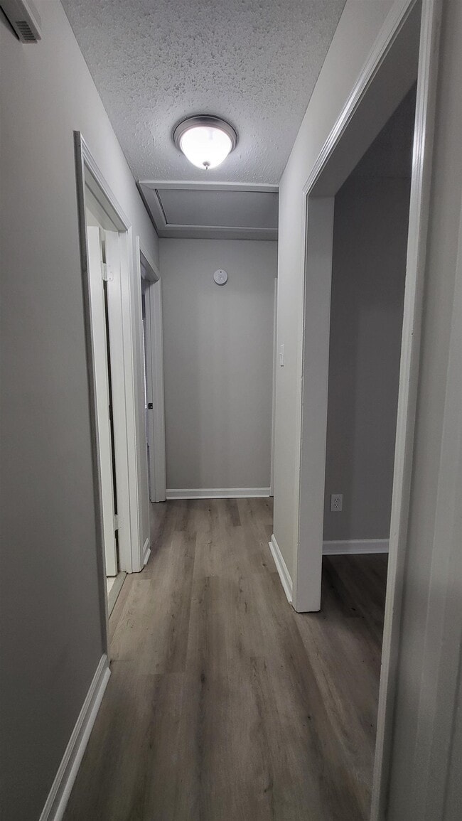 Building Photo - 3823 Rainford Dr