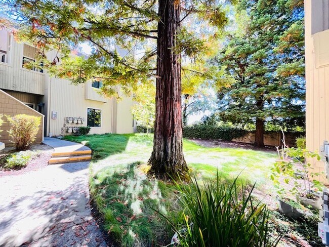 Building Photo - Beautiful, Lower-Level 2BD/2BA, Corner Con...