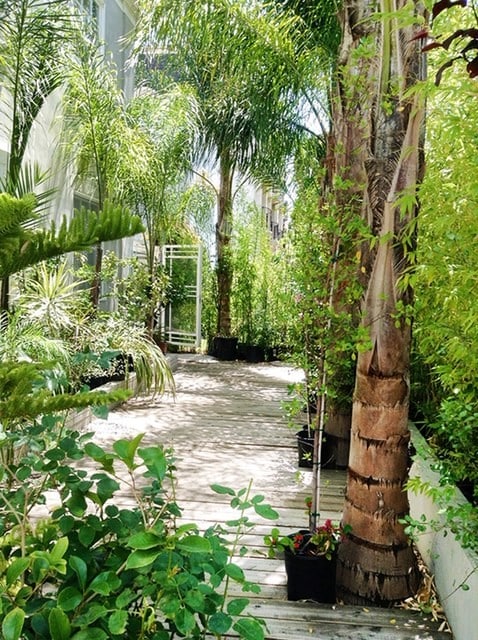 Lush Exterior Boardwalk Deck/Patio - 12116 Ohio Ave