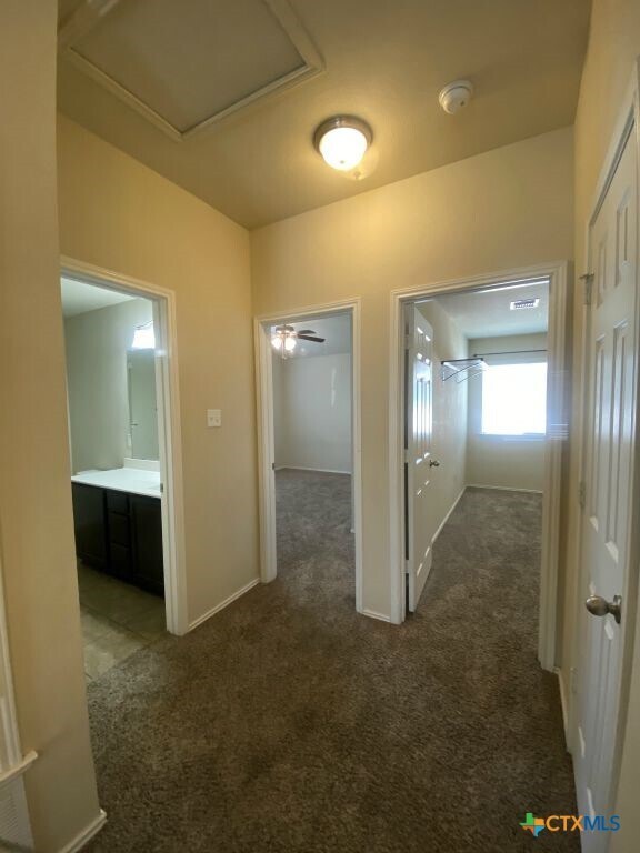 Building Photo - 3504 Lorne Dr