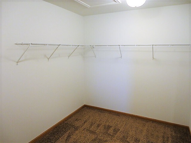 Building Photo - 1757 Ivy Ln