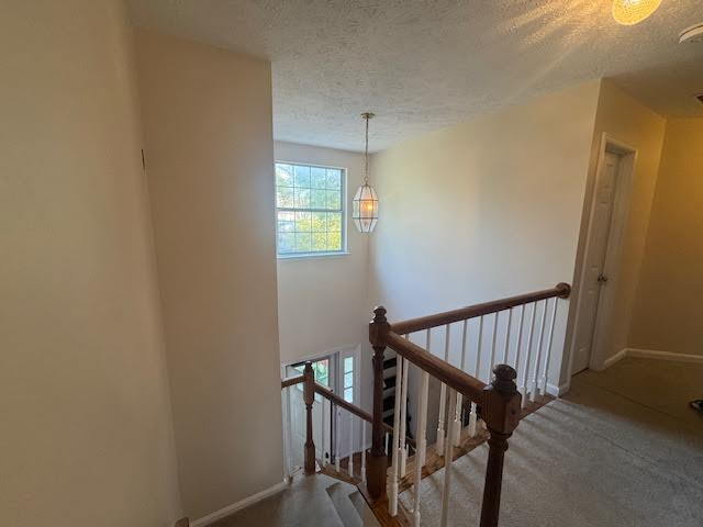 Building Photo - 1/2 Off First Full Months' Rent - "Spacious 4-Bedroom Haven with 3 Full Baths on Alpine Meadow Ro...