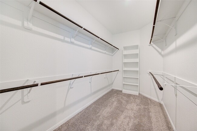 Building Photo - 21514 Pachino Ln