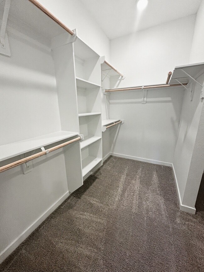 Building Photo - 26915 Nightingale Songs Dr