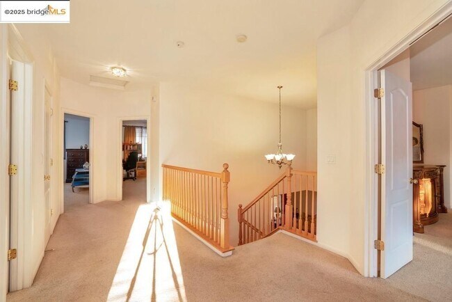 Building Photo - 3792 Pintail Dr