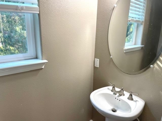 Building Photo - 9 Shreve Ln