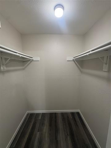 Building Photo - 904 N Austin St