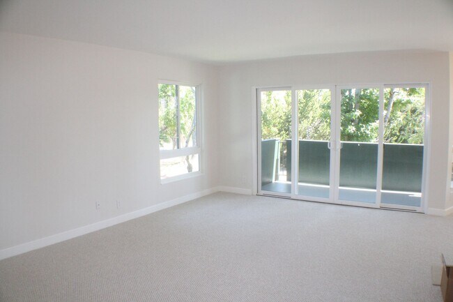 Building Photo - Stunning, large 1 bedroom at Woodlake