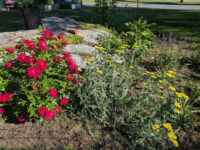 Building Photo - 24 Warren Ave