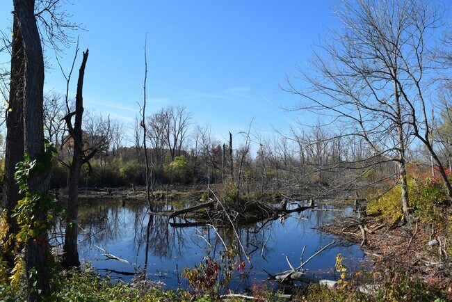 Building Photo - Shelby Township - 3 Bedroom, 2 Bath, End-Unit condo style w/Att Garage