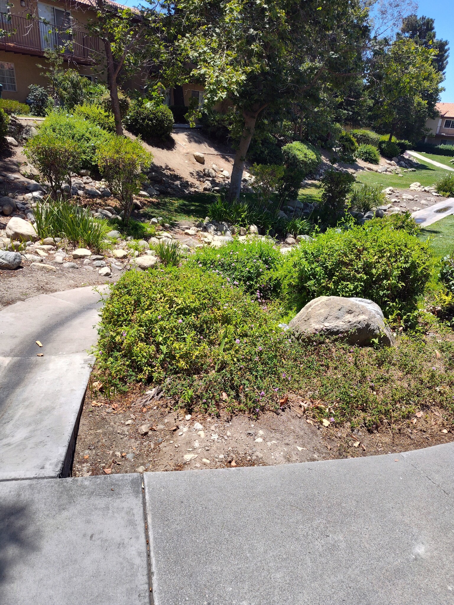 Greenbelt below balcony - 1365 Crafton Ave