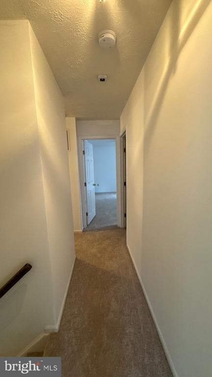 Building Photo - 8698 Open Meadow Way