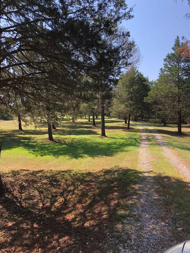 Building Photo - 125 Bluebird Glen