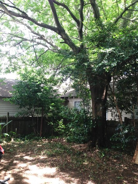 Huge Backyard - 746 Europe St