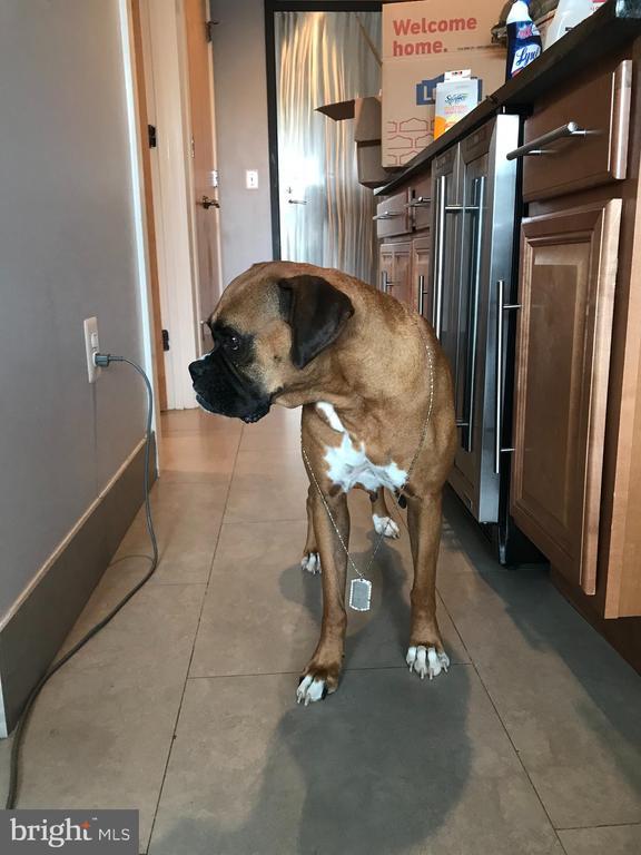 Building Photo - 1133 14th St NW