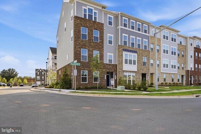 Building Photo - 8046 Williamson Blvd