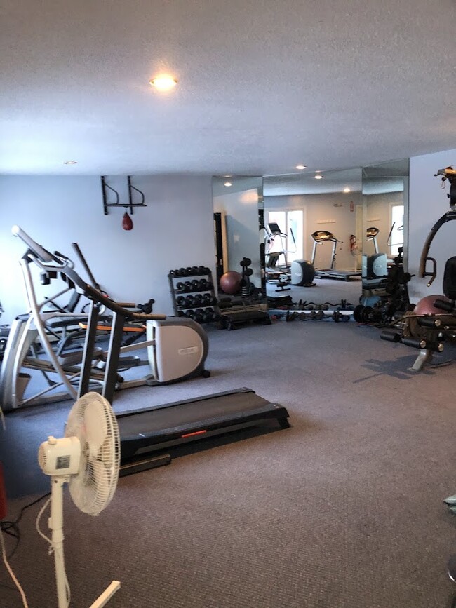 Gym - 12 Northbrook Dr