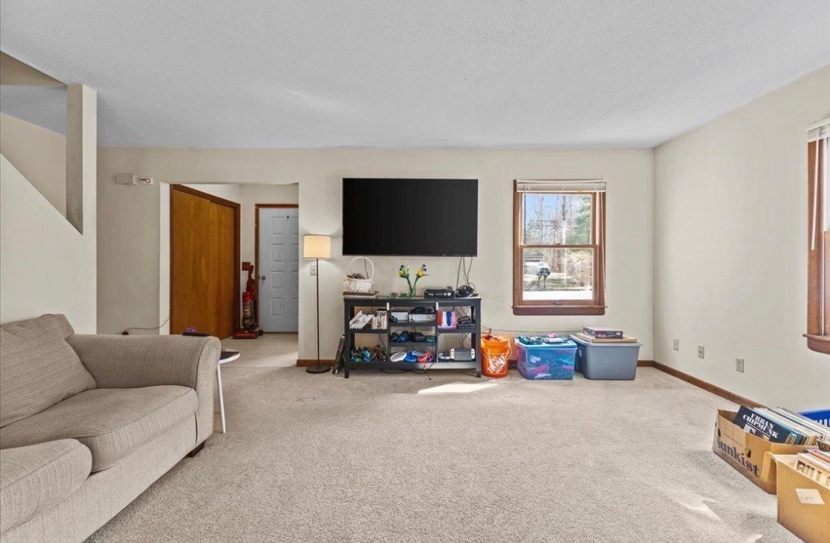 Living room - 216 Grey Birch Dr