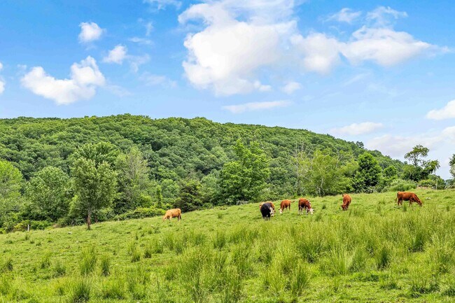 Building Photo - 84 Gunn Hill Rd