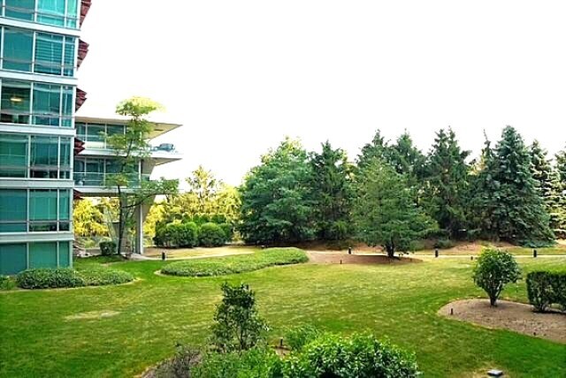 View from balcony - 9655 Woods Dr