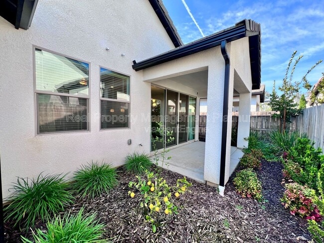 Building Photo - 1436 E Via Albero Dr