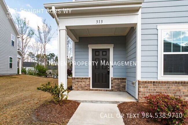 Building Photo - 313 Spaight Acrs Wy