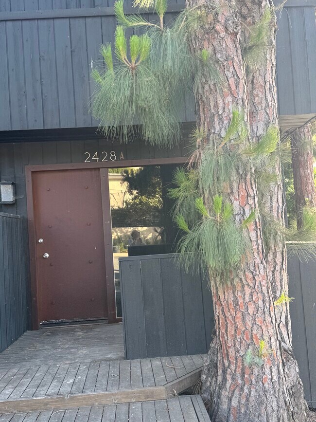 Building Photo - 2428 Beverley Ave