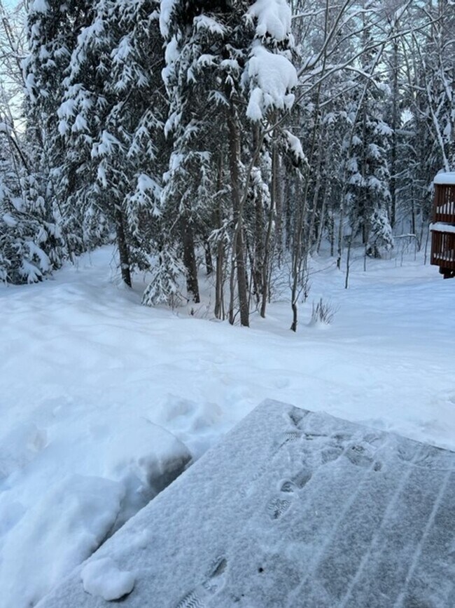 Building Photo - 4 Bedroom Eagle River Home!