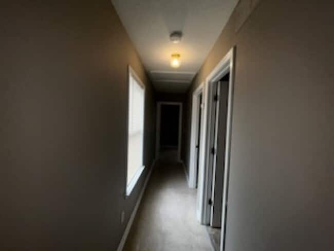 Building Photo - Newly Renovated 2 BR/1BA