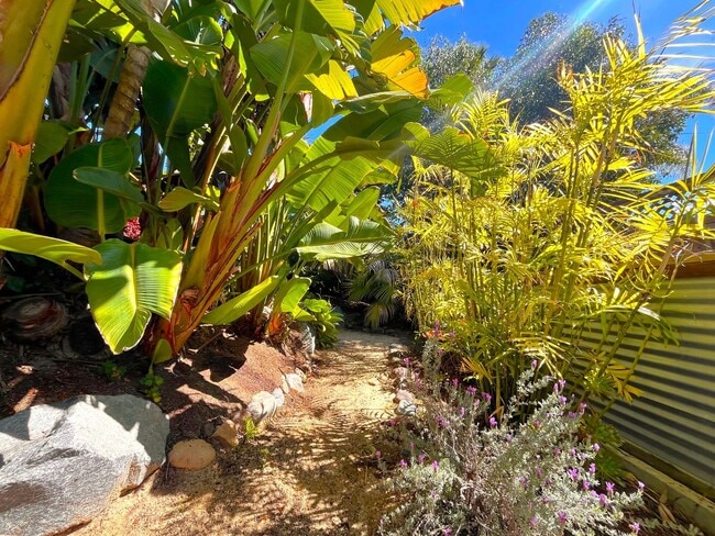 Building Photo - Most Charming Home in La Costa