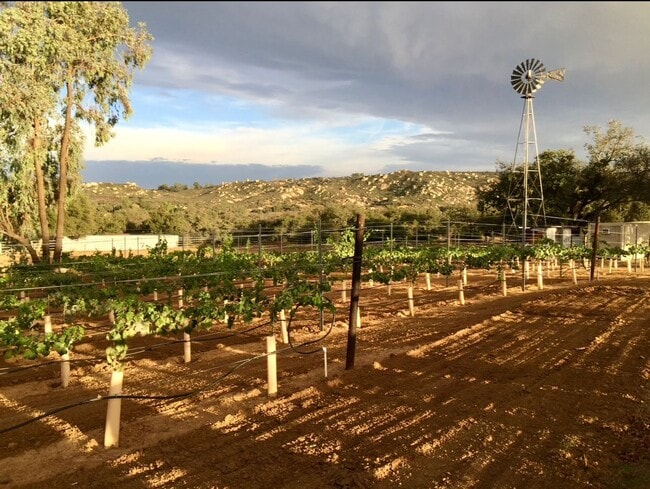 Unique opportunity! 3 BR 2.5 BA Farm-ranc... - Unique opportunity!  3 BR 2.5 BA Farm-ranc...