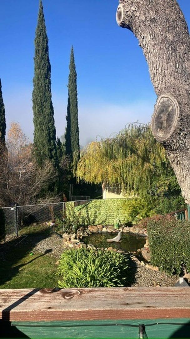 Building Photo - 503 Hillcrest Ave