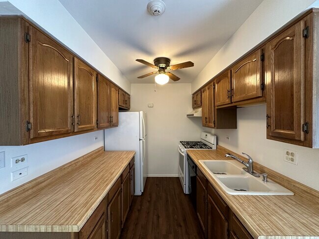 Building Photo - 2724 Weeping Willow Dr
