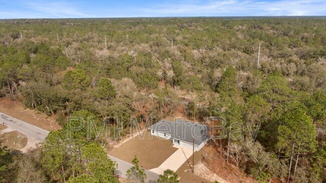 Building Photo - 9461 N Sandree Dr