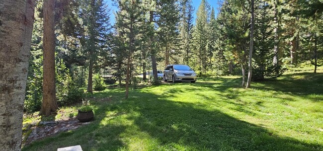 Building Photo - 6550 Lodgepole Trail