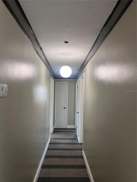 Building Photo - 1824 N Hiawassee Rd